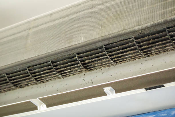Best Dryer Vent Cleaning Services  in Chandler, OK